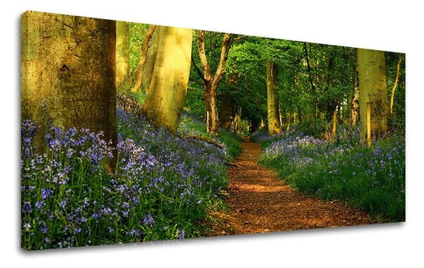Tablou de perete PANORAMA COPACI - 30x60 cm