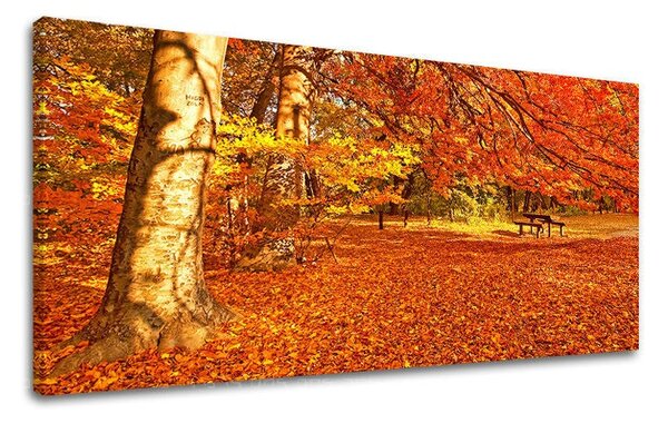 Tablou de perete PANORAMA COPACI - 30x60 cm