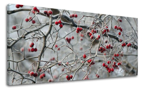 Tablou de perete PANORAMA COPACI - 30x60 cm