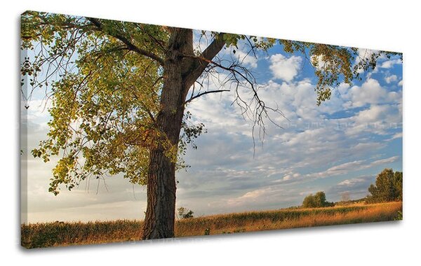 Tablou de perete PANORAMA COPACI - 30x60 cm