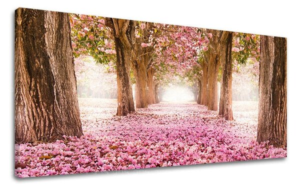 Tablou de perete PANORAMA COPACI - 30x60 cm