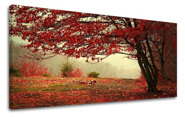 Tablou de perete PANORAMA COPACI - 30x60 cm