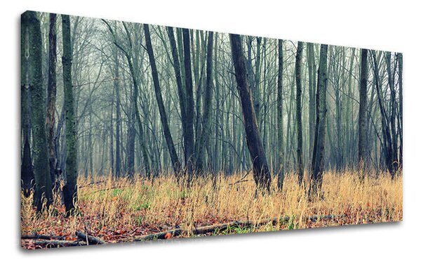 Tablou de perete PANORAMA COPACI - 30x60 cm