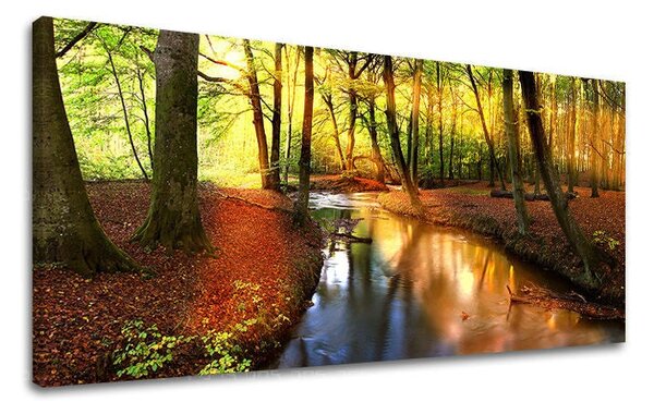 Tablou de perete PANORAMA COPACI - 30x60 cm