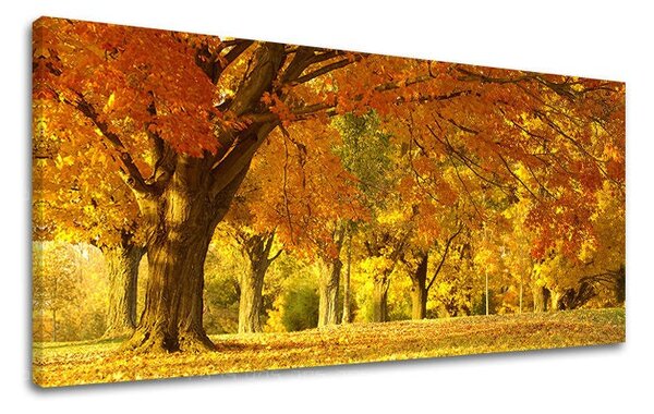 Tablou de perete PANORAMA COPACI - 30x60 cm