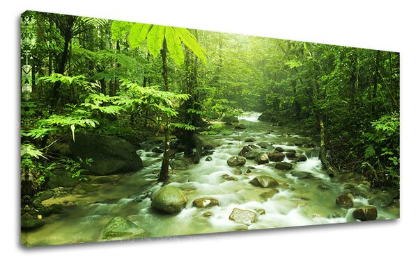 Tablou de perete PANORAMA COPACI - 30x60 cm