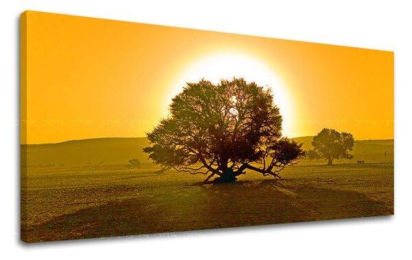 Tablou de perete PANORAMA COPACI - 30x60 cm