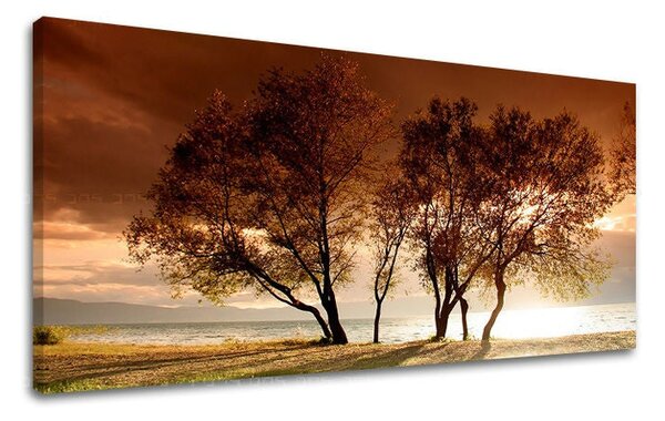 Tablou de perete PANORAMA COPACI - 30x60 cm