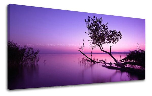Tablou de perete PANORAMA APUS DE SOARE - 30x60 cm