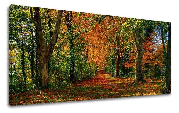 Tablou de perete PANORAMA COPACI - 30x60 cm