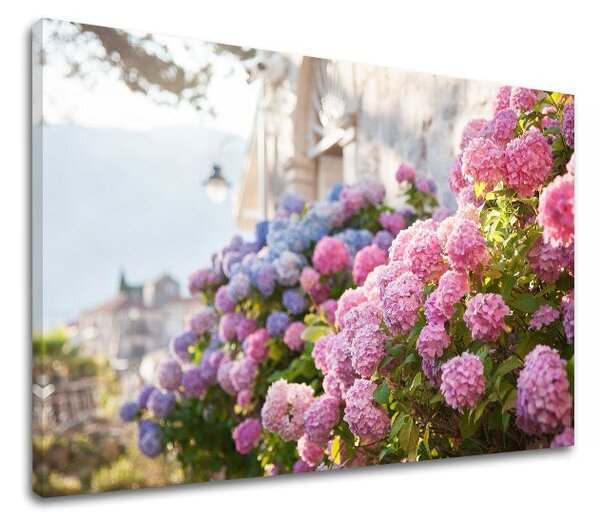 Tablou de perete PINK FLOWERS_157-11 - 20x30 cm