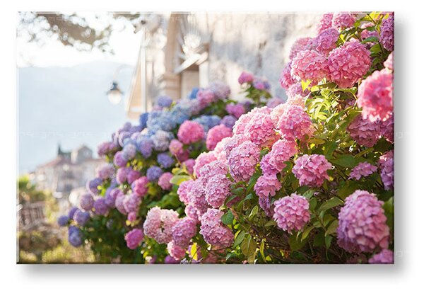 Tablou de perete PINK FLOWERS_157-11 - 20x30 cm