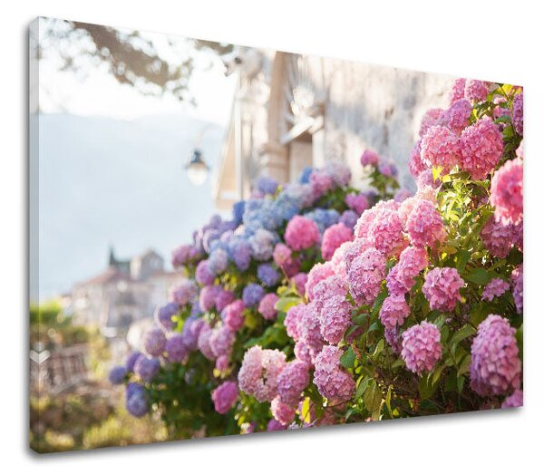 Tablou de perete PINK FLOWERS_157-11 - 20x30 cm
