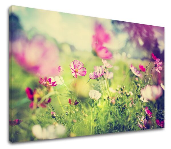 Tablou de perete PINK FLOWERS_165-11 - 20x30 cm