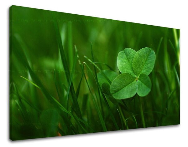 Tablou de perete PLANTE - 20x30 cm