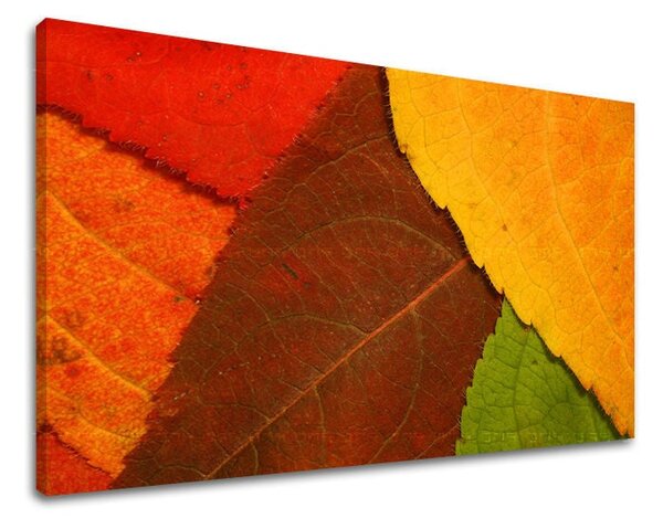 Tablou de perete PLANTE - 20x30 cm