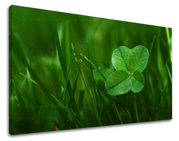 Tablou de perete PLANTE - 20x30 cm