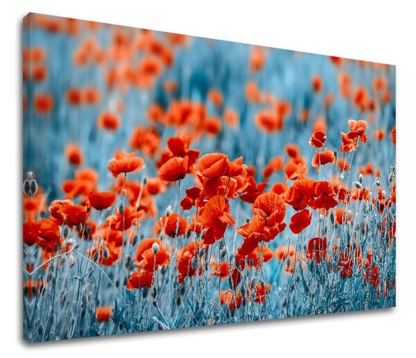 Tablou de perete RED FLOWERS_159-11 - 20x30 cm