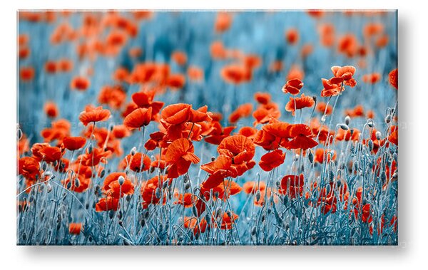 Tablou de perete RED FLOWERS_159-11 - 20x30 cm