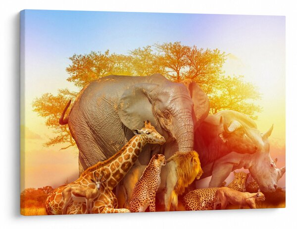 Tablou - Animale africane (70x50 cm)