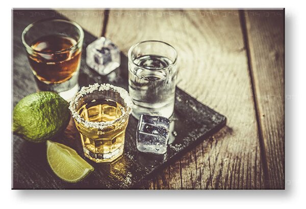 Tablou de perete TEQUILA_075-11 - 20x30 cm