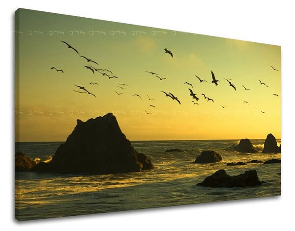 Tablou de perete WEST APUS DE SOARE - 20x30 cm