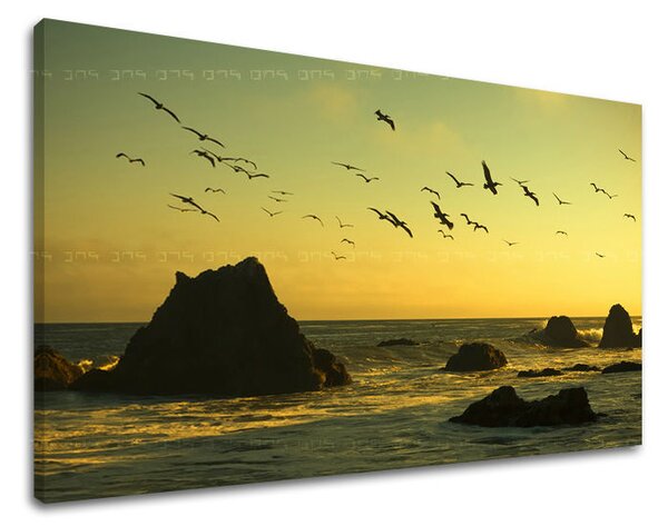 Tablou de perete WEST APUS DE SOARE - 20x30 cm