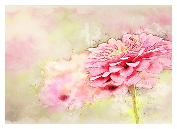 Tablou - Floare roz, aquarel (70x50 cm)