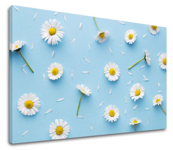 Tablou de perete WHITE FLOWERS_163-11 - 20x30 cm