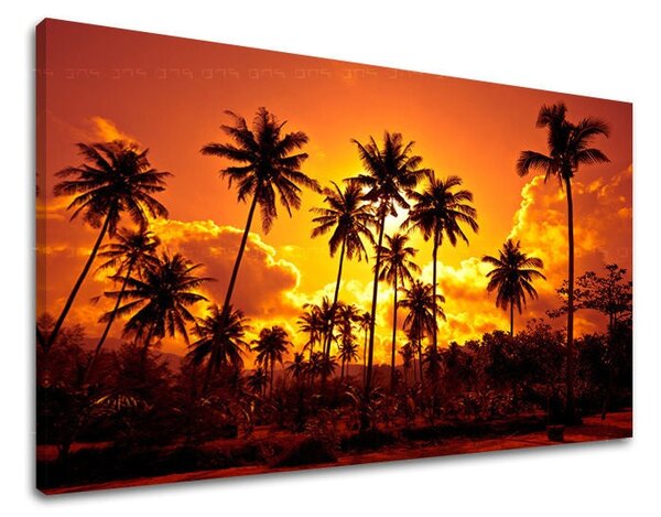 Tablou de perete WEST APUS DE SOARE - 20x30 cm