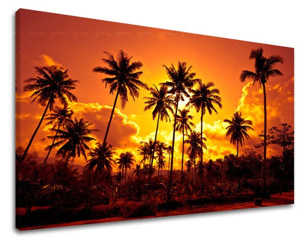 Tablou de perete WEST APUS DE SOARE - 20x30 cm