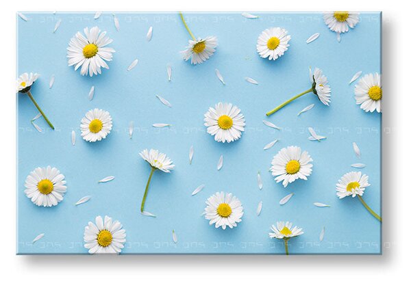Tablou de perete WHITE FLOWERS_163-11 - 20x30 cm