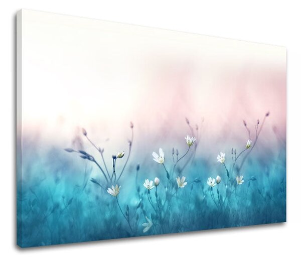Tablou de perete WHITE FLOWERS_156-11 - 20x30 cm