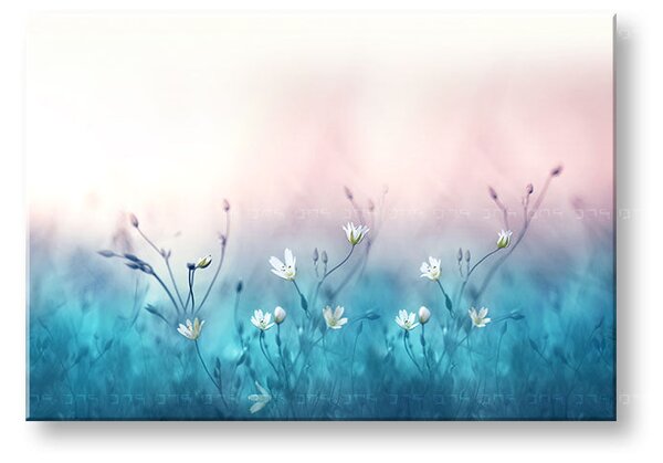 Tablou de perete WHITE FLOWERS_156-11 - 20x30 cm