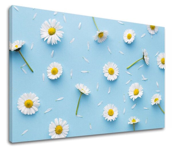 Tablou de perete WHITE FLOWERS_163-11 - 20x30 cm