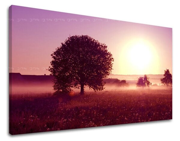 Tablou de perete WEST APUS DE SOARE - 20x30 cm