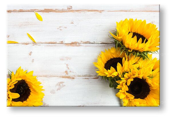 Tablou de perete YELLOW FLOWERS_160-11 - 20x30 cm