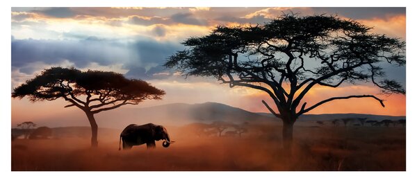 Tablou - Parcul Național Serengeti, Tanzania, Africa (120x50 cm)