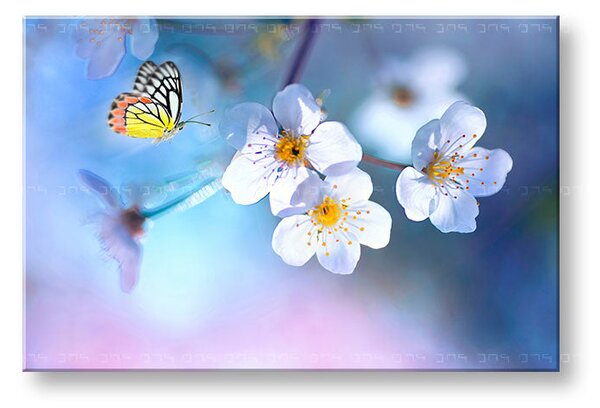 Tablou de perete STROMY_035-11 - 20x30 cm
