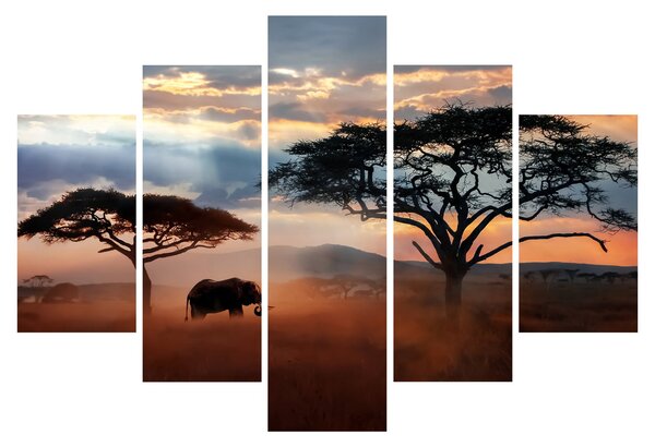 Tablou - Parcul Național Serengeti, Tanzania, Africa (150x105 cm)