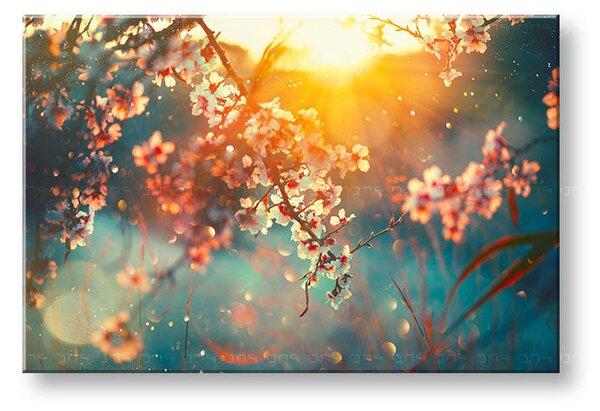 Tablou de perete STROMY_037-11 - 20x30 cm