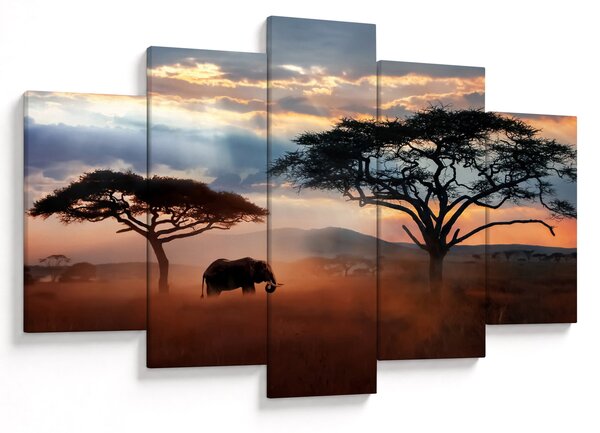 Tablou - Parcul Național Serengeti, Tanzania, Africa (150x105 cm)