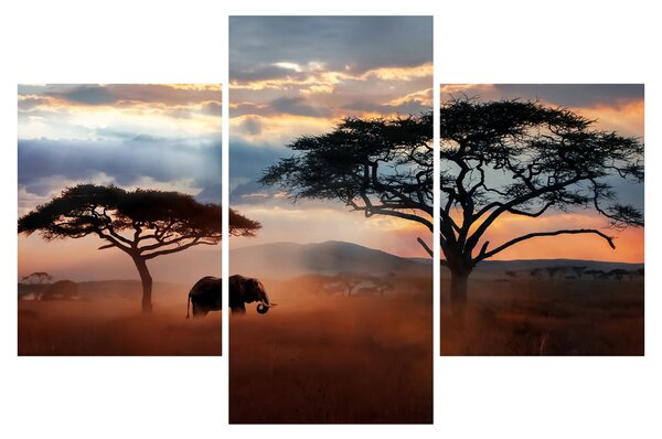 Tablou - Parcul Național Serengeti, Tanzania, Africa (90x60 cm)