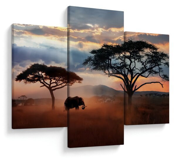 Tablou - Parcul Național Serengeti, Tanzania, Africa (90x60 cm)
