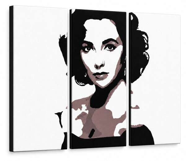 Tablou pictat manual POP Art Elizabeth Taylor 3 bucăți et2 - 60x40 cm