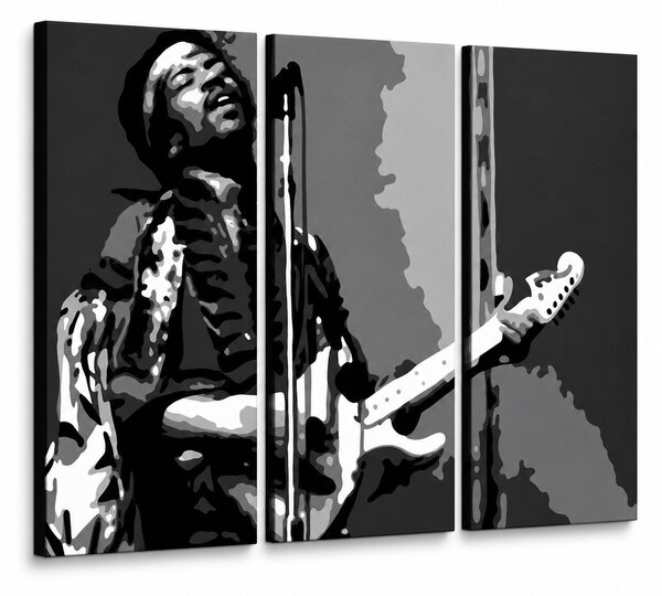 Tablou pictat manual POP Art Jimmy Hendrix 3 bucăți jh - 60x40 cm