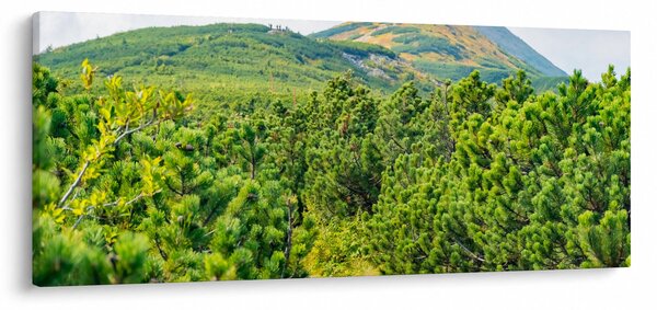 Tablou - Babi Hora, Polonia (120x50 cm)
