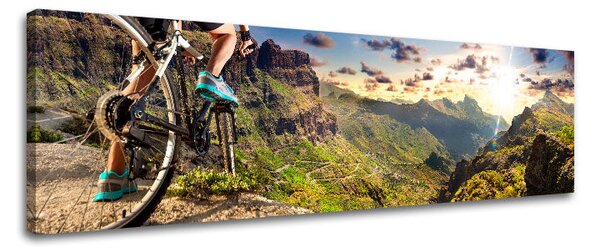 Super Panorama Tablou de perete INSPIRAȚIE - 20x60 cm