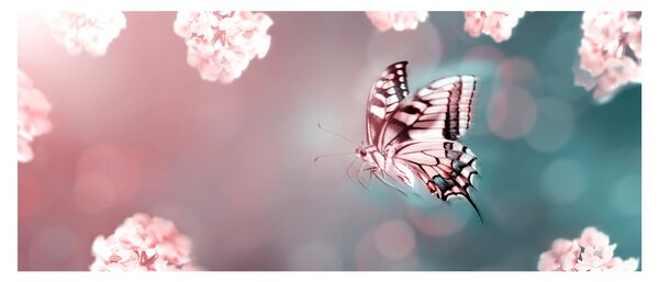 Tablou - Fluture între flori (120x50 cm)
