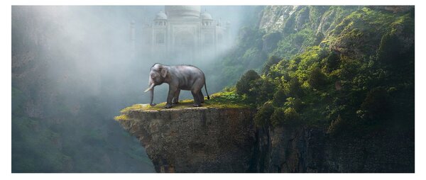 Tablou - Elefant în vârful Taj Mahalului (120x50 cm)